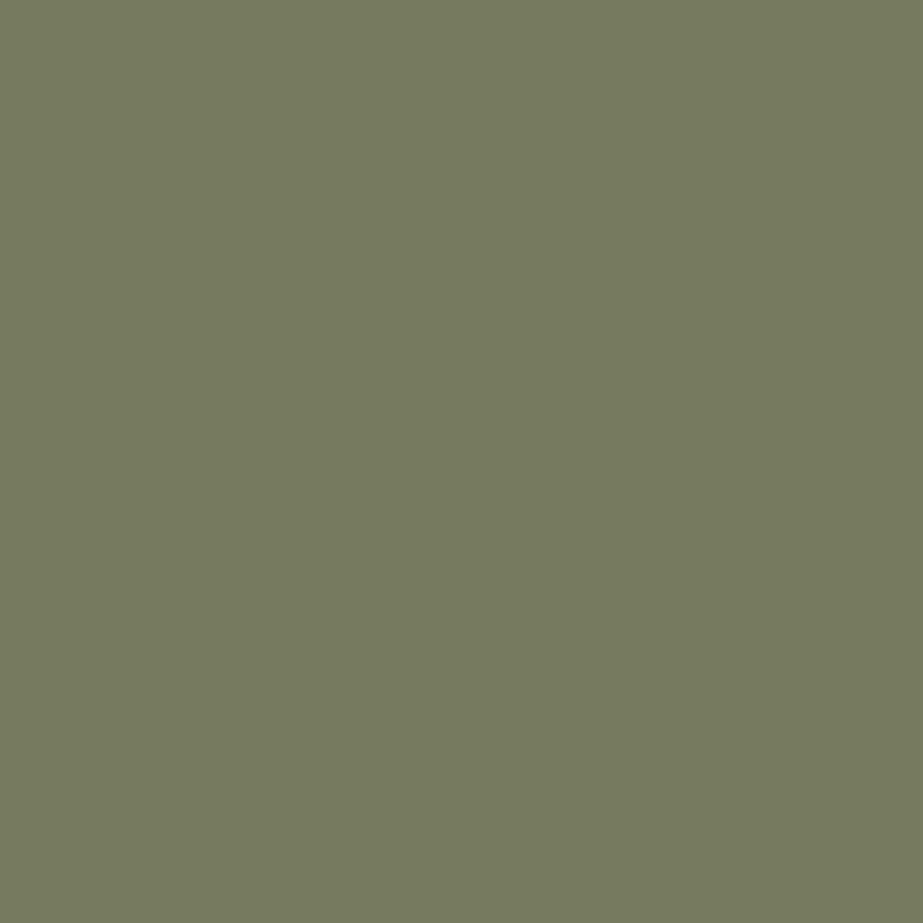 RAL 6013 Schilfgrün hausturen turfarben ral-farben ral-6013-schilfgruen texture