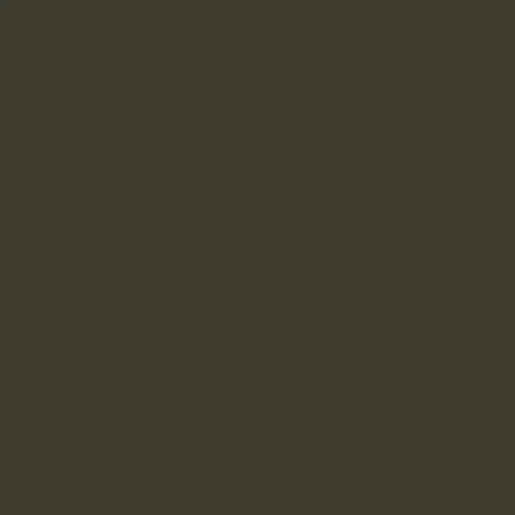 RAL 6022 Braunoliv hausturen turfarben ral-farben ral-6022-braunoliv texture