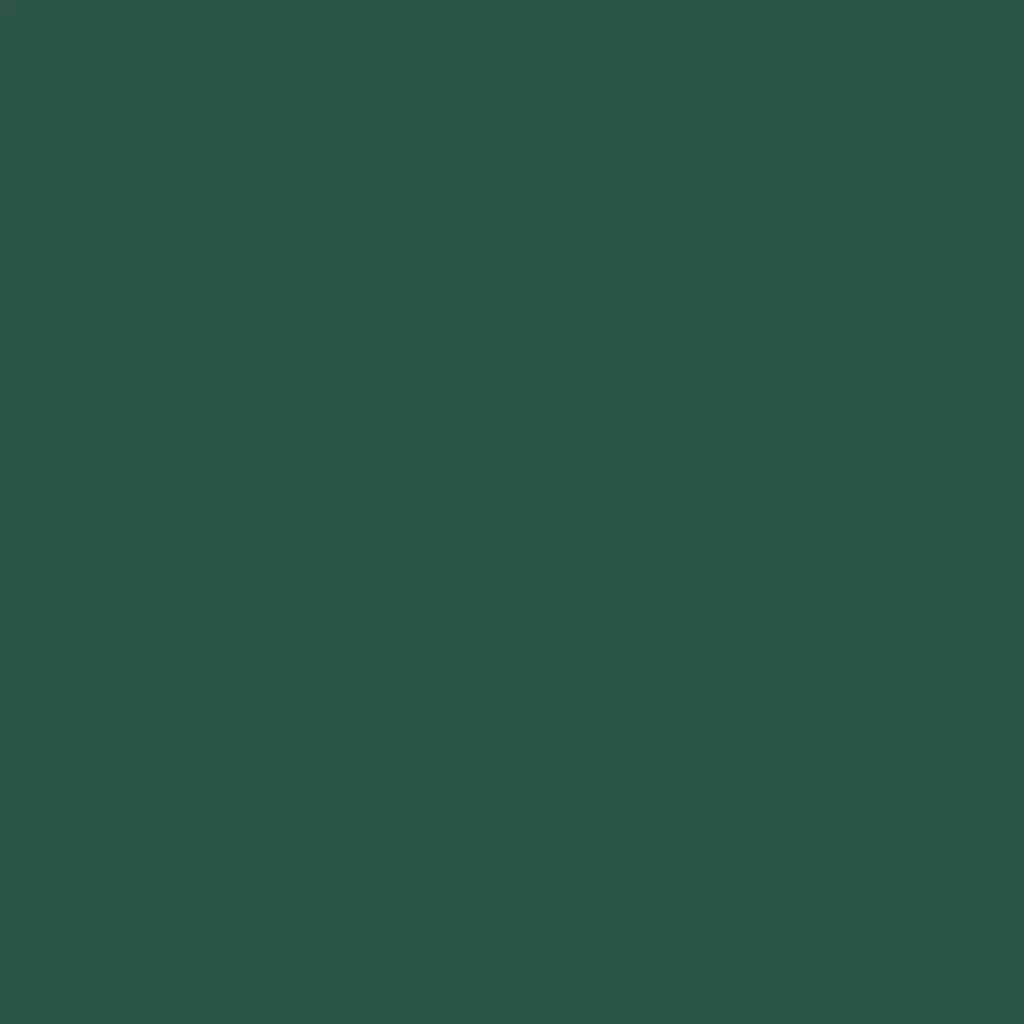 RAL 6028 Kieferngrün hausturen turfarben ral-farben ral-6028-kieferngruen texture