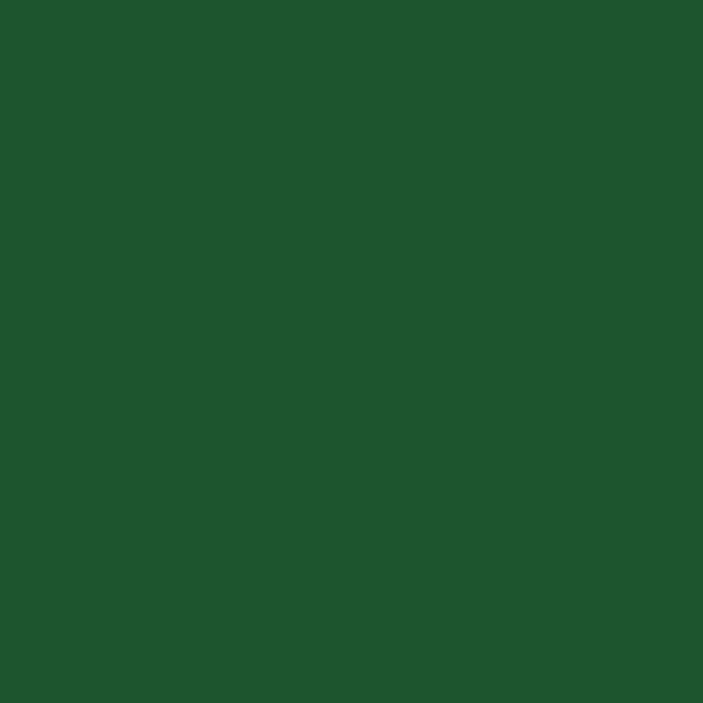RAL 6035 Perlgrün hausturen turfarben ral-farben ral-6035-perlgruen texture