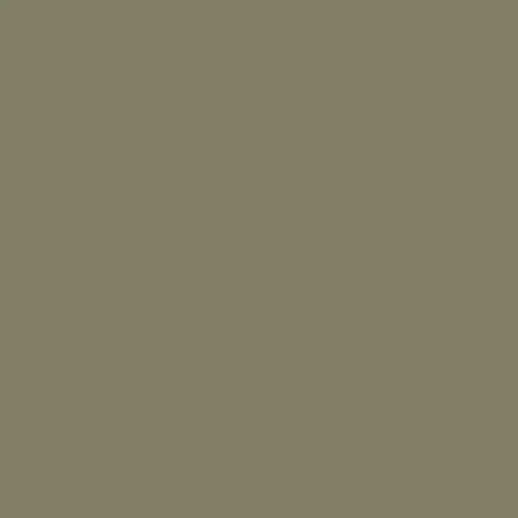 RAL 7002 Olivgrau hausturen turfarben ral-farben ral-7002-olivgrau texture
