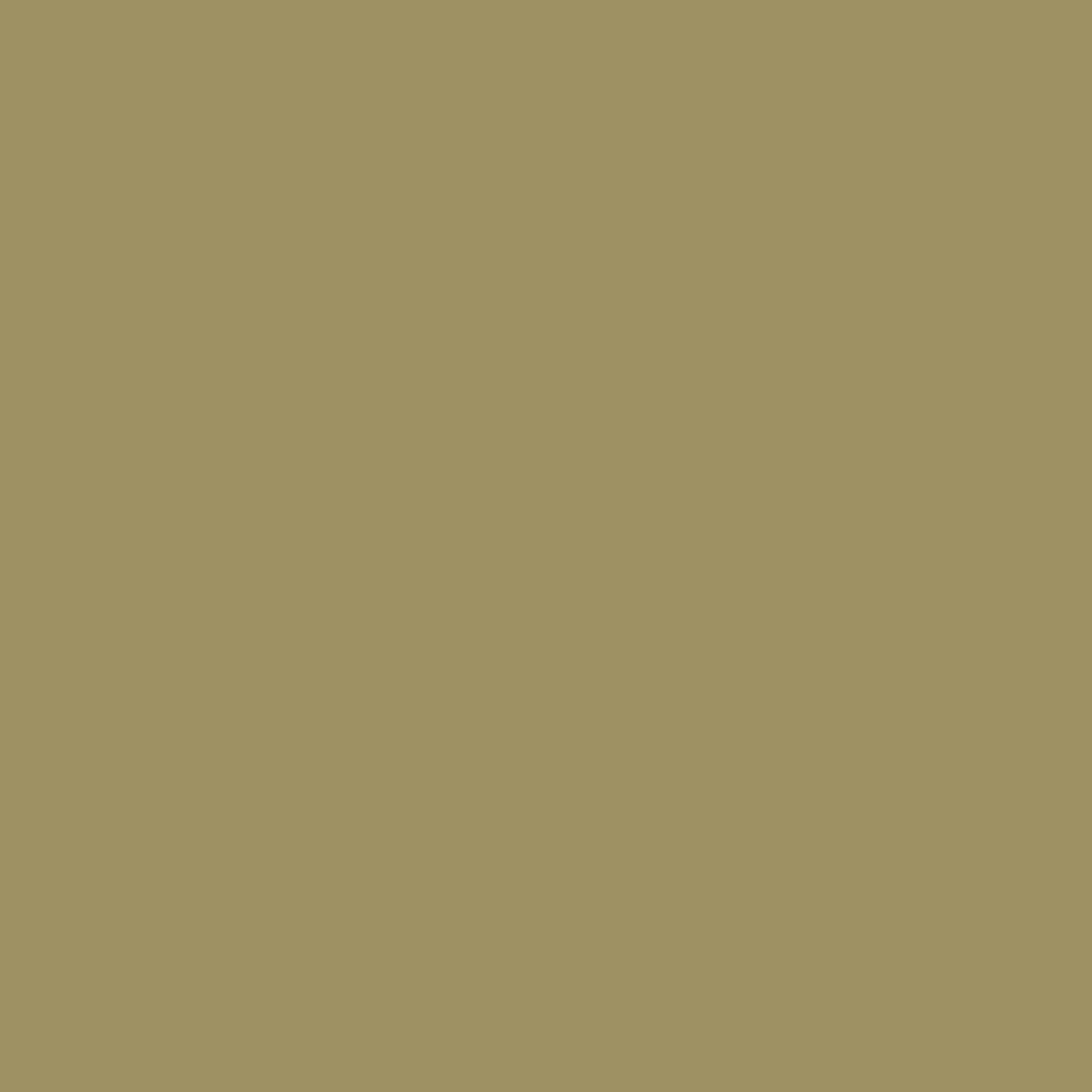 RAL 1020 Olivgelb hausturen turfarben ral-farben ral-1020-olivgelb texture