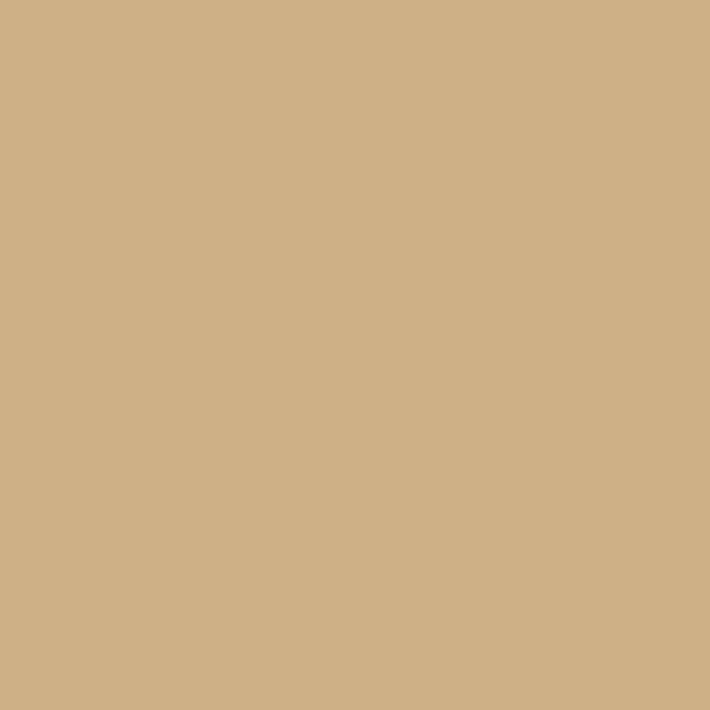 RAL 1001 Beige hausturen turfarben ral-farben ral-1001-beige texture