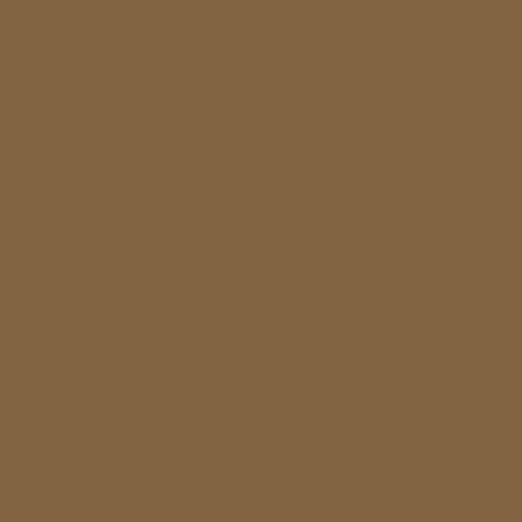 RAL 1036 Perlgold hausturen turfarben ral-farben ral-1036-perlgold texture