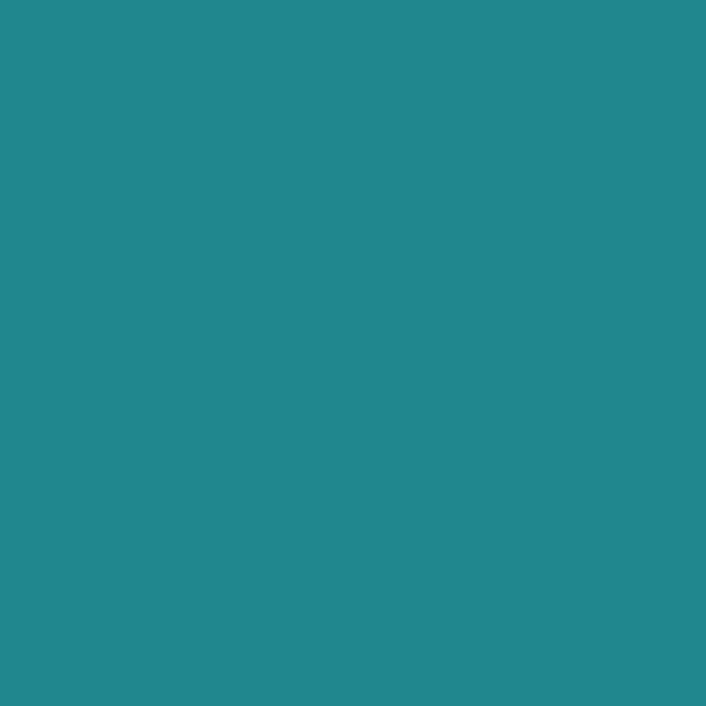 RAL 5018 Türkisblau hausturen turfarben ral-farben ral-5018-tuerkisblau texture