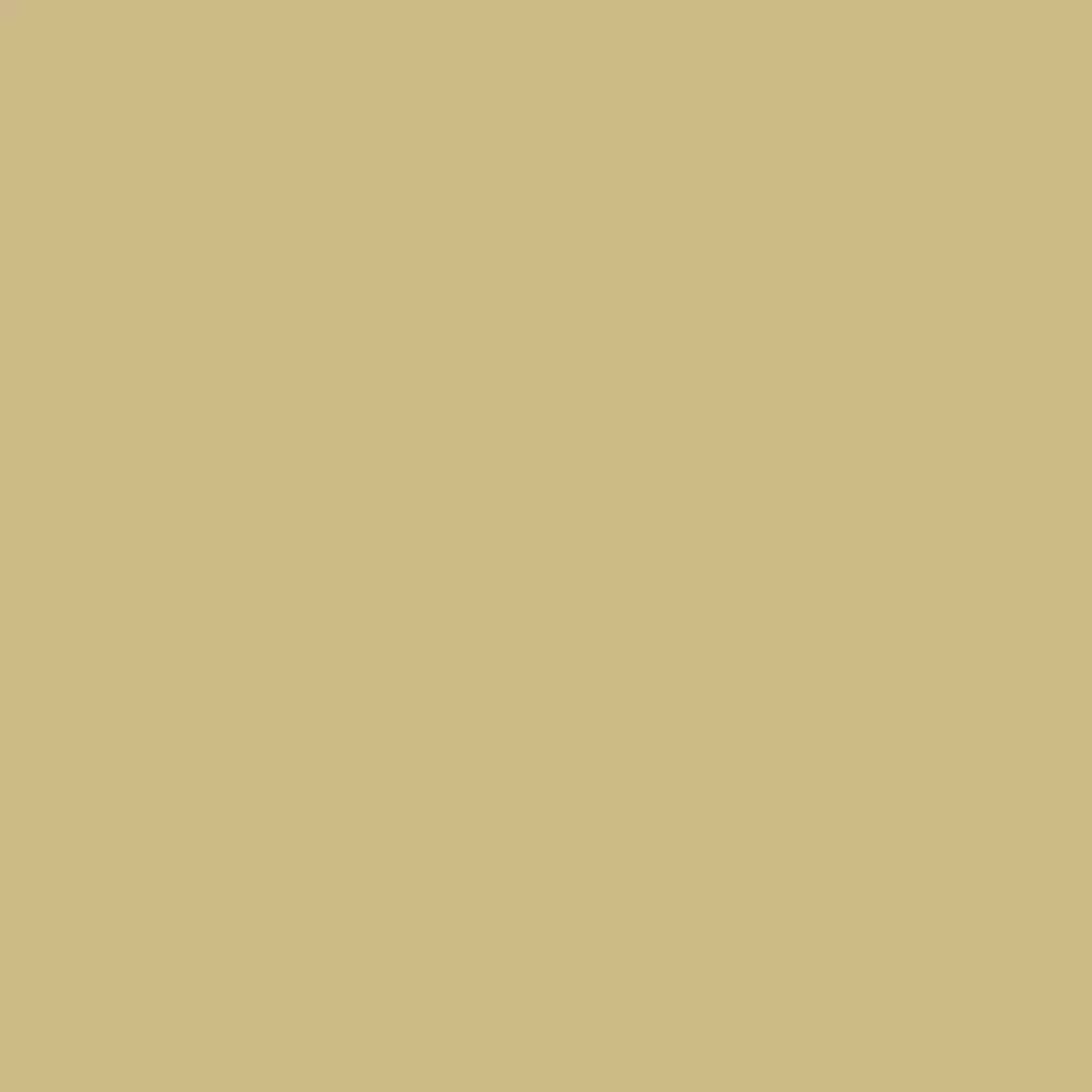 RAL 1000 Grünbeige fenster fensterfarbe ral-aluminium ral-1000-gruenbeige texture