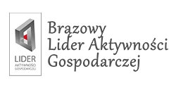 Nagroda - Dyplom II miejsce w zestawieniu Orły Okien i Drzwi 2021